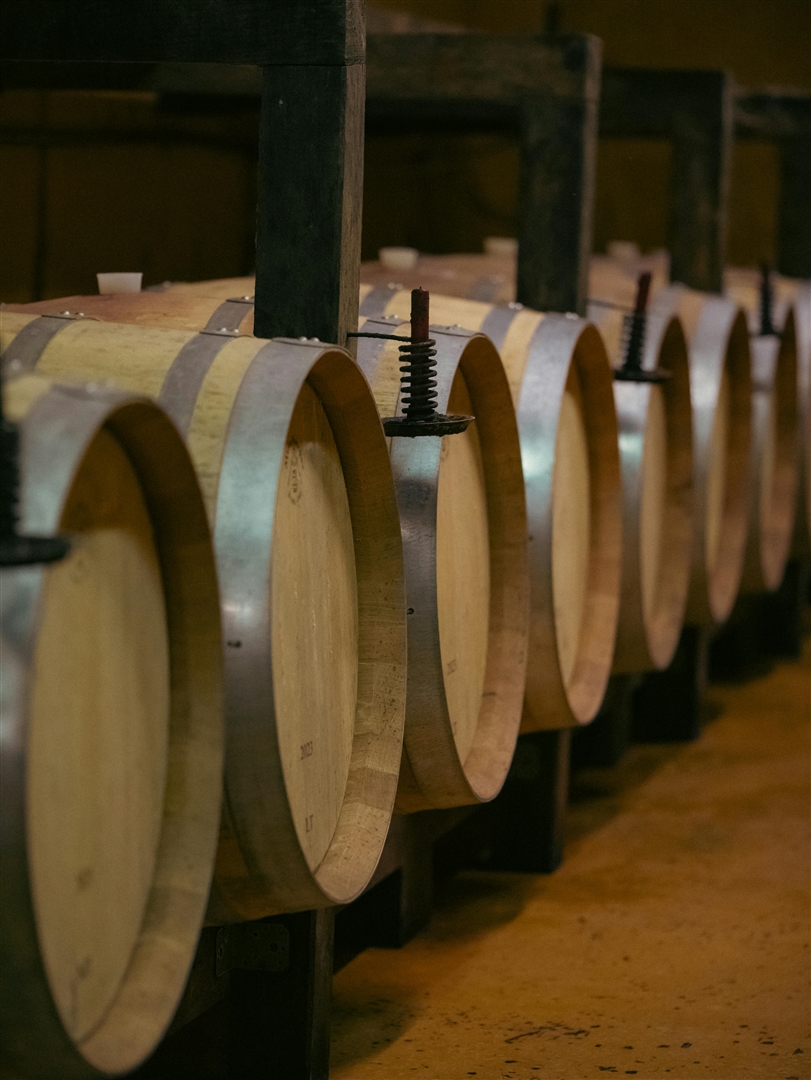 XIV Gastronomic Fortnight of Lourinhã DOC Brandy